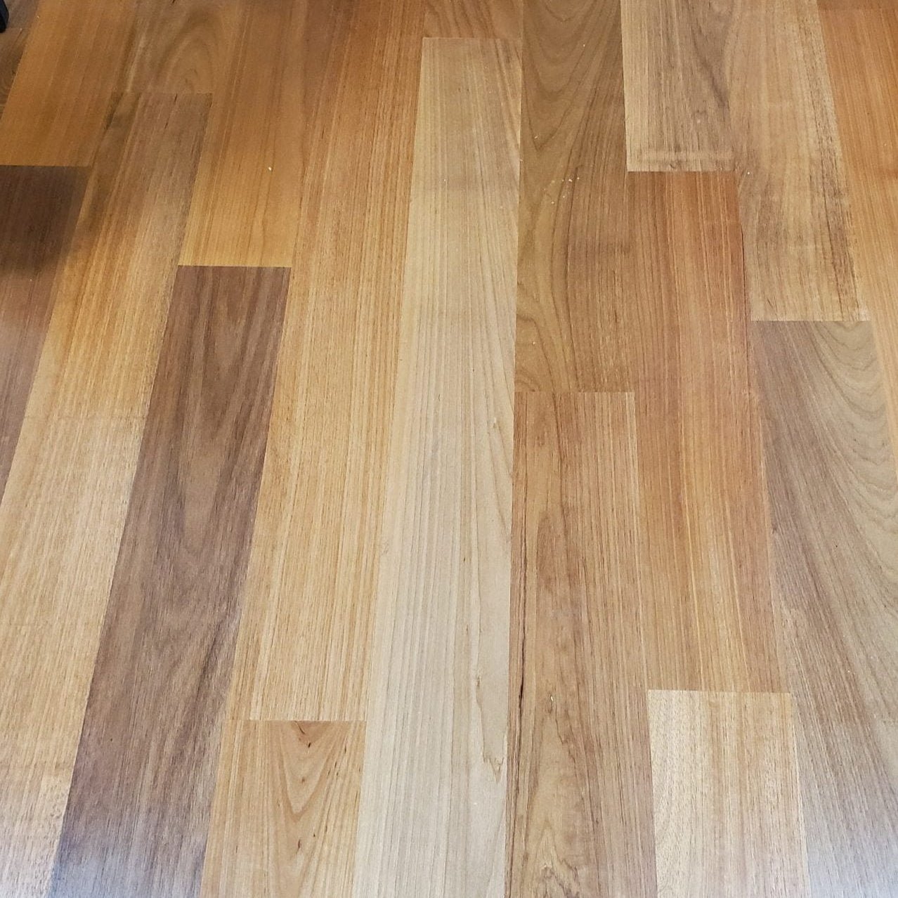 Pre - Finished Solid Brazilian Oak (Tauari) Clear Grade - Pro Hardwood