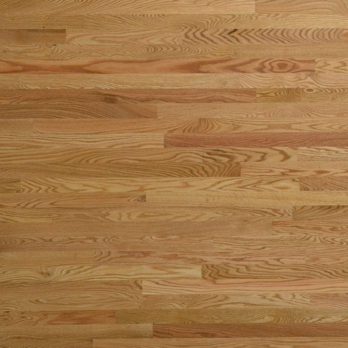 Unfinished Engineered Red Oak Plain Sawn Select & Better - Pro Hardwood